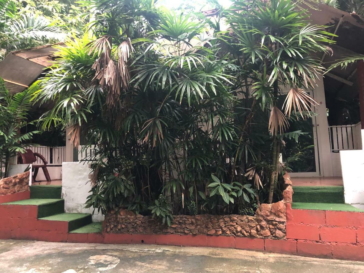 Pine Bungalow Krabi Ngoại thất bức ảnh